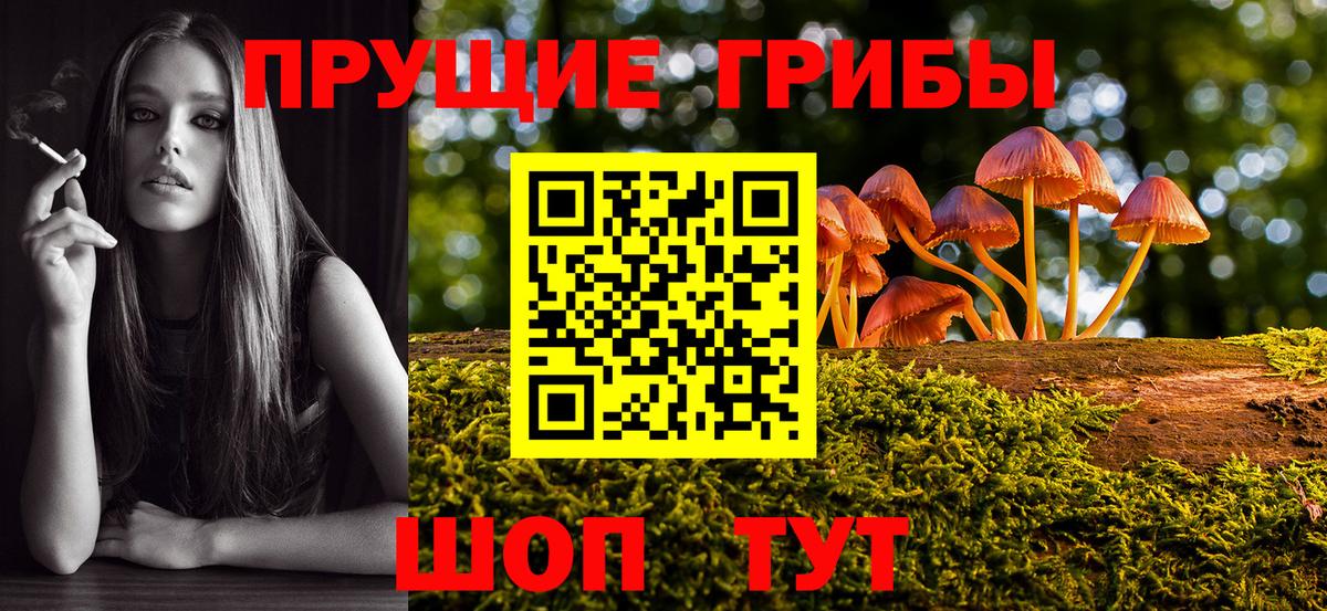 купить  сайты  Псилоцибиновые грибы ЛСД  Вход с VPN  Асино 